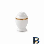 نمک پاش چینی - نمای جلو - طراحی و جزئیات کلیدی
