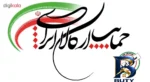نمای بسته بندی قالب یخ لاولی مدل ۱۲K کد A۶۱۹ اصل برچسب و بسته بندی