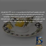 نمای بسته بندی سرویس چای خوری ۱۲ پارچه ۶ نفره میس بتی مدل VA۲۶۹۱۰ اصل برچسب و بسته بندی