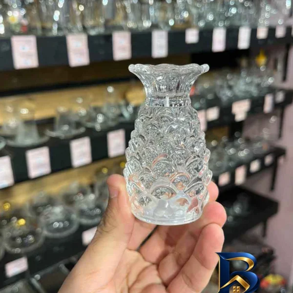 نمای بسته بندی نمک پاش آناناس مجموعه ۲ عددی برچسب و بسته بندی