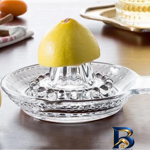 نمای بسته بندی آب مرکبات گیر شیشه ای پاشاباغچه کد 54209 برچسب و بسته بندی