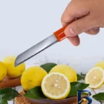 نمای بسته بندی چاقو آشپزخانه با تیغه استیل و دسته پلاستیک فیکسول مدل Multi Purpose برچسب و بسته بندی