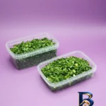 نمای جلو ظرف نگهدارنده مدل Extra بسته ۲۵ عددی طراحی و جزئیات کلیدی