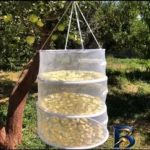 نمای جزئیات سبزی خشک کن دستی مدل ۵ طبقه با کیفیت عالی پرداخت و جزئیات مواد