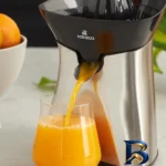 نمای جزئیات آب مرکبات گیر کاراجا مدل 601 با طراحی استیل پرداخت و جزئیات مواد