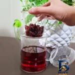 نمای جزئیات لیوان دمنوش ساز مدل جداشونده با کیفیت پرداخت و جزئیات مواد