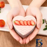 نمای جلو کاتر شیرینی پزی مدل KNP-۱۴۴۱ بسته ۶ عددی اصل طراحی و جزئیات کلیدی