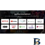 نمای جلو اندروید باکس شیائومی مدل Mi TV Stick طراحی و جزئیات کلیدی
