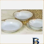 نمای جزئیات دیس پارس چینی کد ۲۸۱۶ اصل پرداخت و جزئیات مواد