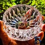 نمای کناری پیاله کریستال جهان مدل OCEAN بسته 6 عددی پروفایل و ساختار