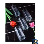 نمای کناری لیوان پاشاباغچه مدل تریموف Trıumph کد 41630 بسته شش عددی پروفایل و ساختار