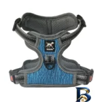 بند قلاده سگ - نمای جلو - طراحی و جزئیات کلیدی