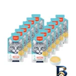 سوپ گربه بالغ - نمای جلو - طراحی و جزئیات کلیدی