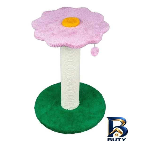 اسکرچر گربه اصل - نمای جلو - طراحی و جزئیات کلیدی