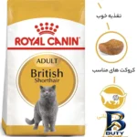 نمای بسته بندی غذای خشک گربه بالغ رویال کنین مدل British shorthair وزن 2 کیلوگرم به همراه بستنی برچسب و بسته بندی