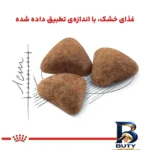 نمای بسته بندی غذای خشک گربه رویال کنین مدل Home Life Indoor با وزن 2 کیلوگرم برچسب و بسته بندی