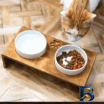 نمای کناری ظرف آب و غذای حیوانات Chiti مدل سرامیک ضدآب مقاوم پروفایل و ساختار
