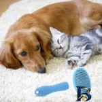 نمای کناری شانه و برس نظافت سگ گربه مدل CLEAN پروفایل و ساختار