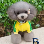 نمای بسته بندی لباس سگ مدل Adidog۵ سایز L اصل برچسب و بسته بندی