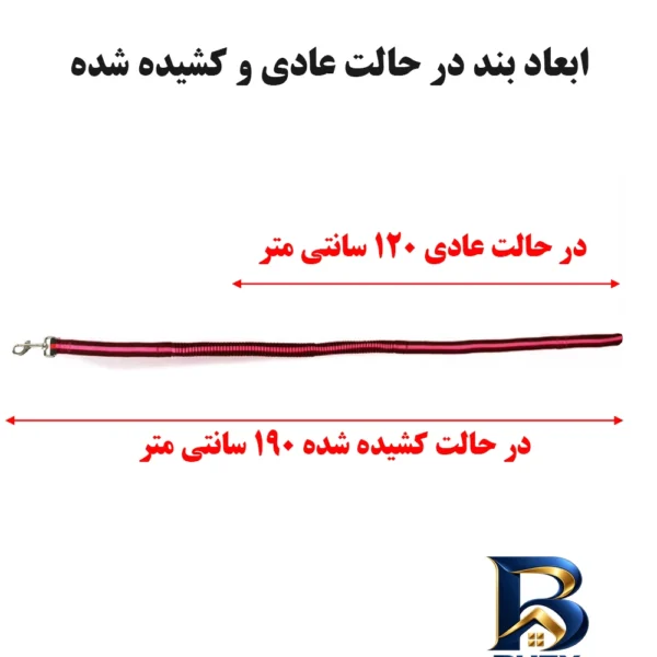 نمای بسته بندی بند قلاده سگ مدل کشی اصل برچسب و بسته بندی