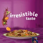 نمای بسته بندی پوچ گربه بالغ ویسکاس مدل Tasty Mix با طعم میکس وزن ۸۵ گرم بسته ۱۲ عددی برچسب و بسته بندی