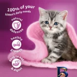 نمای بسته بندی پوچ بچه گربه ویسکاس مدل Kitten Mixed Menu in Jelly با طعم میکس وزن ۸۵ گرم بسته ۱۲ عددی برچسب و بسته بندی
