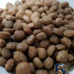 نمای بسته بندی غذای خشک گربه وودوو مدل Kitten با وزن 2 کیلوگرم برچسب و بسته بندی