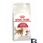 نمای جزئیات غذای خشک گربه رویال کنین مدل کنترل وزن Regular Fit 32 با 10 کیلوگرم نمای نزدیک دانه