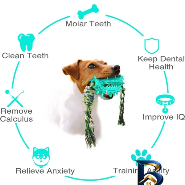 نمای بسته بندی اسباب بازی سگ دندانی مدل Cactus Molar Chew Toy برچسب و بسته بندی