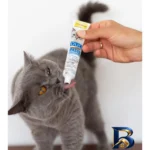نمای جزئیات خمیر مولتی ویتامین جیم کت مدل Duo Paste ماهی تن وزن ۵۰ گرم پرداخت و جزئیات مواد