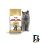 نمای جزئیات غذای خشک گربه رویال کنین مدل british shorthair بزرگسال وزن 4000 گرم پرداخت و جزئیات مواد