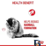 نمای جزئیات غذا خشک گربه رویال کنین مدل Hairball Care با وزن 2 کیلوگرم پرداخت و جزئیات مواد