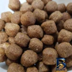 نمای جزئیات غذای خشک سگ وودوو مدل ادالت Mini & Small وزن 10 کیلوگرم پرداخت و جزئیات مواد