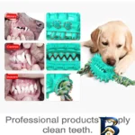 نمای کناری اسباب بازی سگ دندانی مدل Cactus Molar Chew Toy پروفایل و ساختار