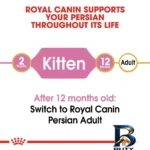 نمای کناری غذای خشک بچه گربه رویال کنین مدل Persian Kitten وزن ۲ کیلوگرم به همراه پوچ ۸۵ گرم اصل پروفایل و ساختار