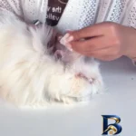 نمای کناری پد مرطوب حیوانات خانگی گلدپد مدل ساشه ای ۳ بسته ۱۰۰ عددی پروفایل و ساختار