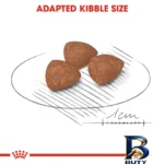 نمای کناری غذای خشک سگ رویال کنین مدل MINI INDOOR PUPPY وزن ۱.۵ کیلوگرم پروفایل و ساختار