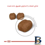 نمای جلو غذای خشک گربه رویال کنین مدل Dental برای سلامت دهان و دندان وزن 1.5 کیلوگرم طراحی و جزئیات کلیدی