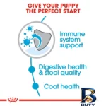 نمای جلو غذای خشک سگ رویال کنین مدل MINI INDOOR PUPPY وزن ۱.۵ کیلوگرم طراحی و جزئیات کلیدی
