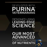 نمای جلو غذای خشک گربه پروپلن مدل Purina Kitten با وزن 1.5 کیلوگرم طراحی و جزئیات کلیدی