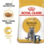 نمای بسته بندی غذای خشک گربه بریتیش رویال کنین مدل British Shorthair با وزن 10 کیلوگرم برچسب و بسته بندی