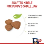 نمای جزئیات غذای خشک توله سگ رویال کنین مدل Mini Puppy وزن ۲ کیلوگرم بسته ۳ عددی نمای نزدیک دانه