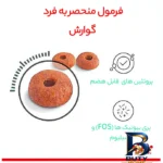 نمای بسته بندی غذای خشک گربه رویال کنین مدل Digestive Care با وزن 2 کیلوگرم برچسب و بسته بندی