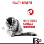 نمای جزئیات غذای خشک گربه رویال کنین مدل Hairball با وزن 10 کیلوگرم پرداخت و جزئیات مواد
