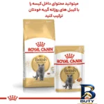 نمای جزئیات غذای خشک گربه رویال کنین مدل british shorthair بزرگسال وزن 4000 گرم پرداخت و جزئیات مواد