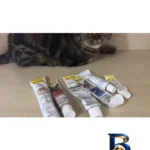 نمای جزئیات خمیر مولتی ویتامین جیم کت مدل Duo Paste ماهی تن وزن ۵۰ گرم پرداخت و جزئیات مواد