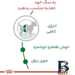 نمای کناری غذای خشک سگ رویال کنین مدل ادالت مینی وزن 2 کیلوگرم پروفایل و ساختار
