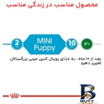 نمای جلو غذای خشک توله سگ رویال کنین مدل Mini Puppy وزن ۲ کیلوگرم بسته ۳ عددی برچسب کیسه و وزن