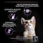 نمای جلو غذای خشک گربه پروپلن مدل Purina Kitten با وزن 1.5 کیلوگرم طراحی و جزئیات کلیدی