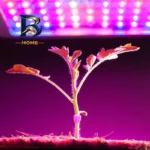 پروژکتور گیاه رشد 50 وات مدل full spectrum
